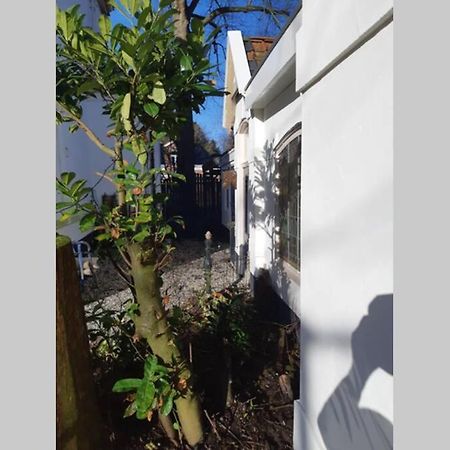 Oranjerie, 7 Km Onder Groningen Apartment Paterswolde Ngoại thất bức ảnh