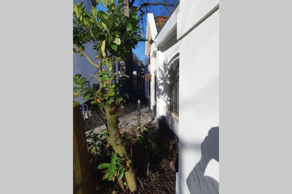 Oranjerie, 7 Km Onder Groningen Apartment Paterswolde Ngoại thất bức ảnh